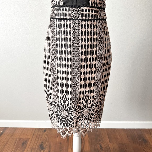 Harlyn Blush & Black Lace Overlay Sheath Cocktail Dress Scallop Hem Size Medium - Picture 4 of 15